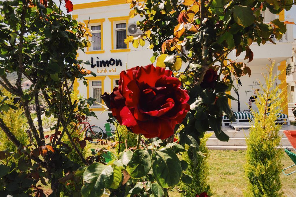 فوكا Limon Pansiyon المظهر الخارجي الصورة